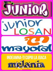 Magazin Junior, Botoşani program de funcționare