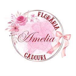 Miroli SRL - Floraria Amelia & Magazin Cadouri, Ianca program de funcționare