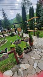 Casa Dakus, Predeluţ program de funcționare