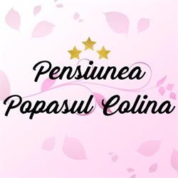 Pensiunea Popasul Colina, Sărata program de funcționare