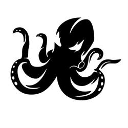 Squid Solutions SRL, Oradea program de funcționare