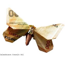 Calandrinon Consult, Oradea program de funcționare