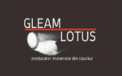 GLEAM LOTUS SRL, Petricani program de funcționare