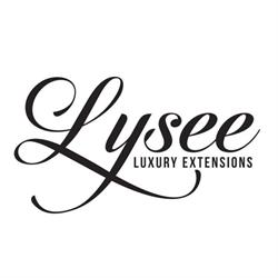 LYSEE S.R.L., Scheia program de funcționare