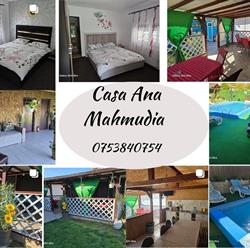 Casa Ana Mahmudia, program de funcționare