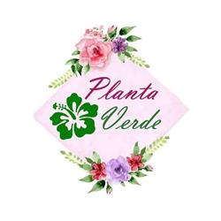 Floraria Planta Verde Panciu, program de funcționare