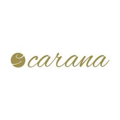 Carana Dental SRL, Bucureşti program de funcționare