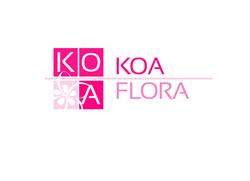 KoaFlora, Bucureşti program de funcționare