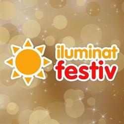 Iluminat Festiv, Timişoara program de funcționare