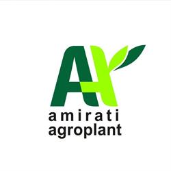 Amirati, Brăila program de funcționare