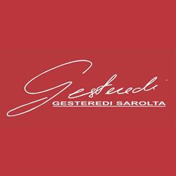 Gesteredi Sarolta, Satu Mare program de funcționare