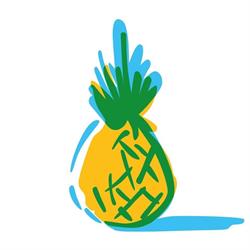 Pineapple Digital, Sibiu program de funcționare