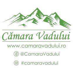 Cămara Vadului, Vadu Crişului program de funcționare