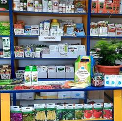 Fitofarmacia GAP Fitoplant Padina (Bulbisor), program de funcționare
