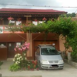 Casa Elena Eselnita, program de funcționare