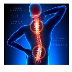 EVER TERAPIA S.R.L., Codlea program de funcționare