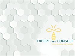 Expert BEE Consult, Iaşi program de funcționare