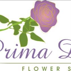 Florarie Constanta - Prima Donna Flower, program de funcționare