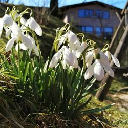 GreenHill, Braşov program de funcționare