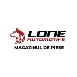 LONE AUTOMOTIVE SRL, Bistriţa program de funcționare