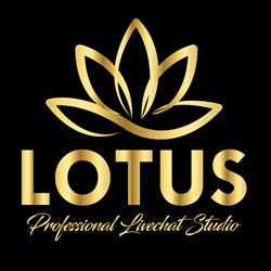 Lotus Agency, Bucureşti program de funcționare