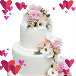 Royal Cake, Satu Mare program de funcționare