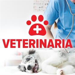 Veterinaria - Cabinet veterinar Braşov, program de funcționare