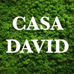 Casa David, Slatina program de funcționare