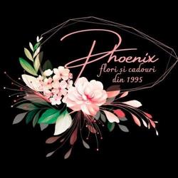 Florăria Phoenix, Botoşani program de funcționare