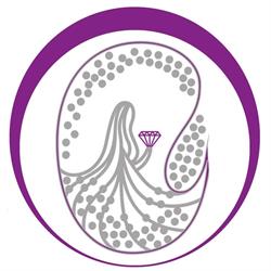 Maya Concept, Iaşi program de funcționare