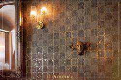 Showroom Provence, Timişoara program de funcționare