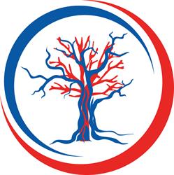 Dr. Pop Ciprian, Baia Mare program de funcționare