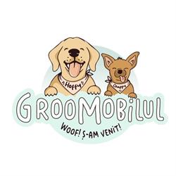 GrooMobilul, Bucureşti program de funcționare