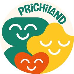 Gradinita Cresa Floresti - Prichiland, program de funcționare