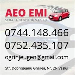 AEO EMI SRL, Vaslui program de funcționare