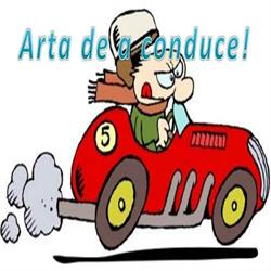 Iral Driving, Vaslui program de funcționare