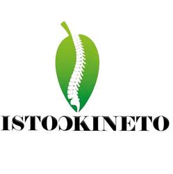 istoCKineto, Roman program de funcționare