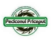 PECICANUL PRICEPUT, Pecica program de funcționare