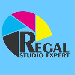 Regal Studio Expert, Curtea de Argeş program de funcționare
