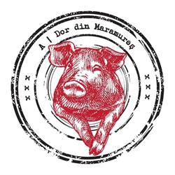 A-DOR, Baia Mare program de funcționare