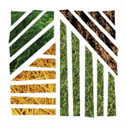 Tesa Tehnologie Agricola, Arad program de funcționare