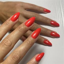 Venus Beauty Salon, Călăraşi program de funcționare