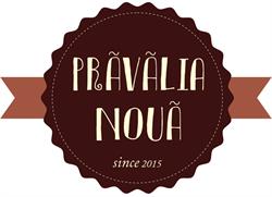 PRĂVĂLIA NOUĂ 2015 S.R.L., Lipova program de funcționare