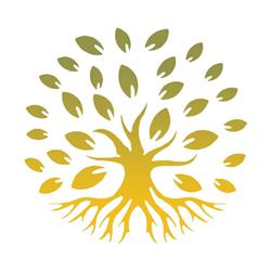 Centrul Harmanais, Iaşi program de funcționare