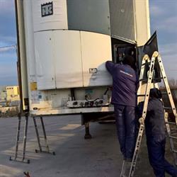 Service TotalFrig Magurele, program de funcționare