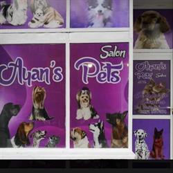 Ayan's Pets, Târgu Jiu program de funcționare