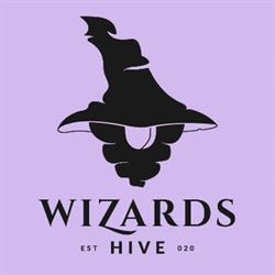 WizardsHive, Curtea de Argeş program de funcționare