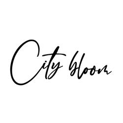 City Bloom, Hunedoara program de funcționare