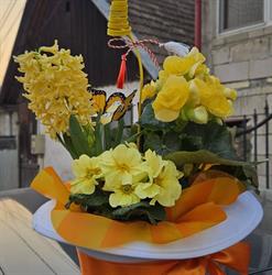YLY'S FLOWERS, Bistra program de funcționare