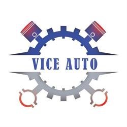 Vice Auto, Titu program de funcționare